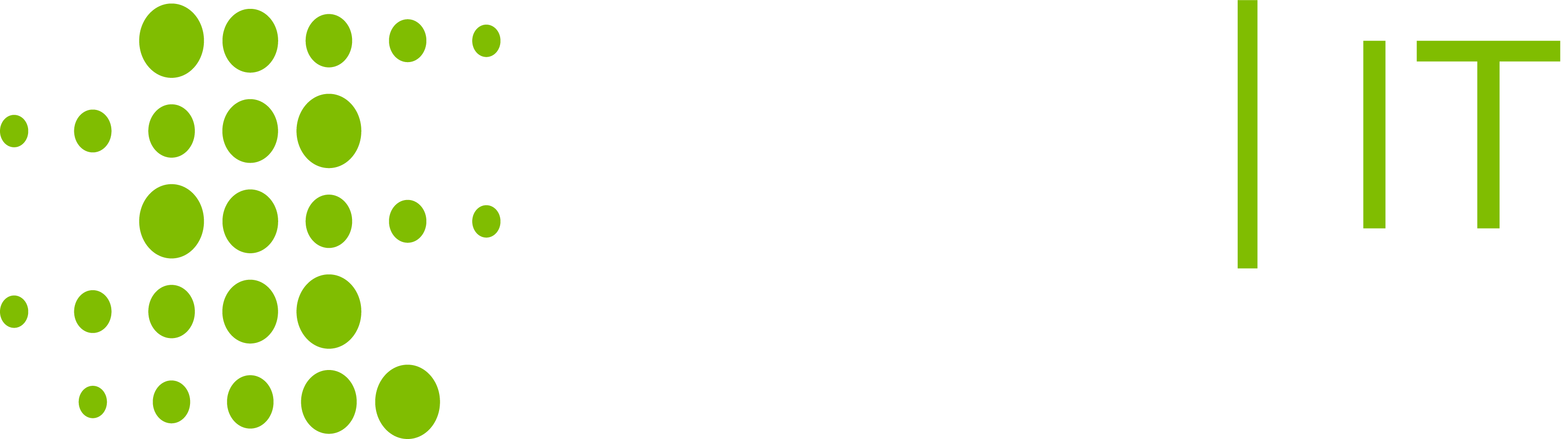 SAM IT Solutions