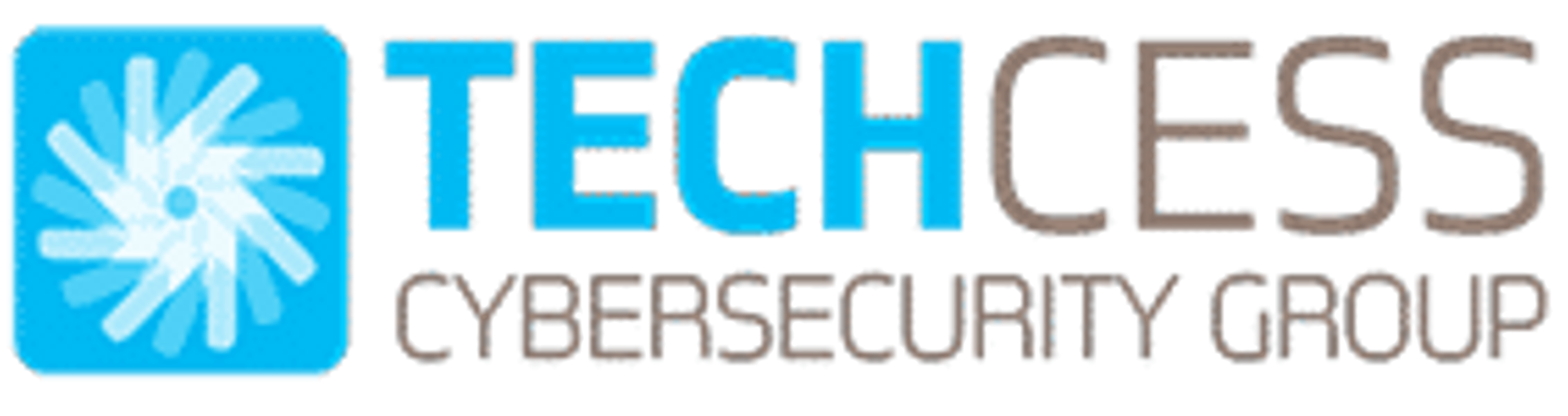 Techcesscyber.com